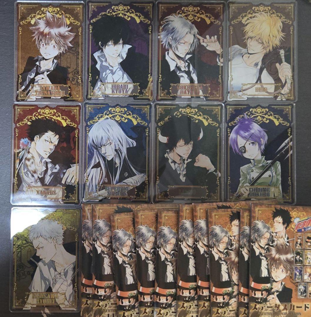 家庭教師ヒットマン REBORN ステータスカード 9点セット ＋ 未開封10点