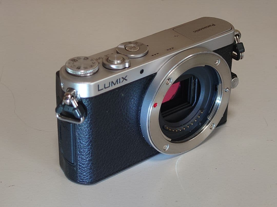 【極美品】LUMIX DMC-GM1ミラーレス一眼 カメラ本体