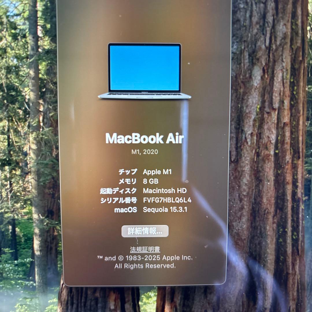 MacBook Air M1 2020 8GB 256GB 87% 大特価