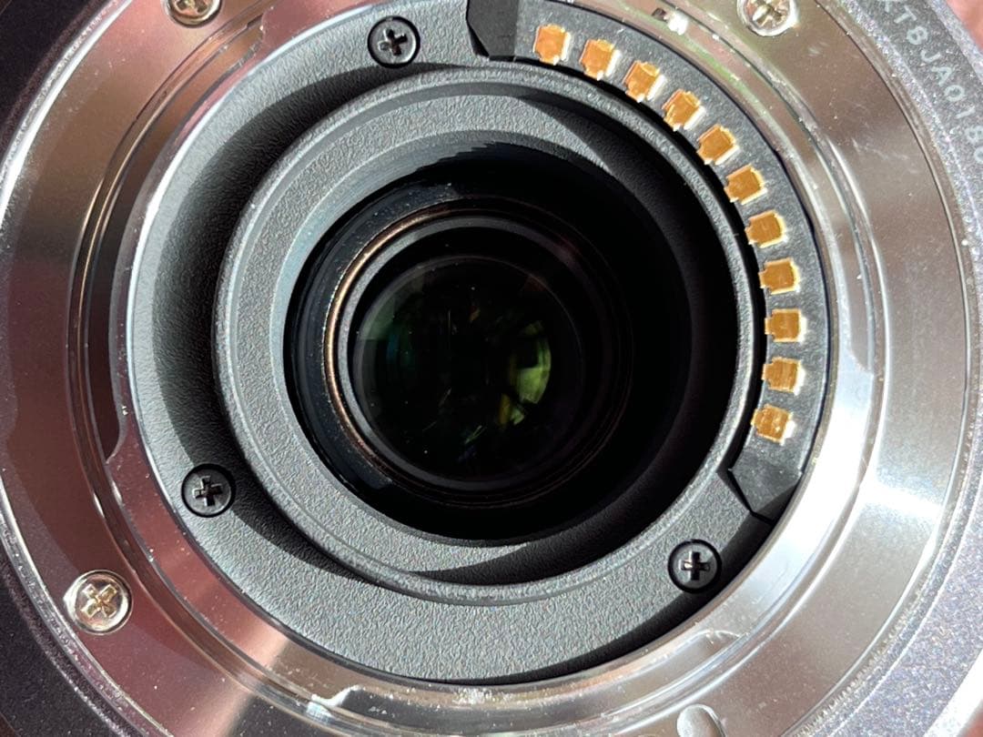 Panasonic LUMIX H-FS045200 45-200mmレンズ
