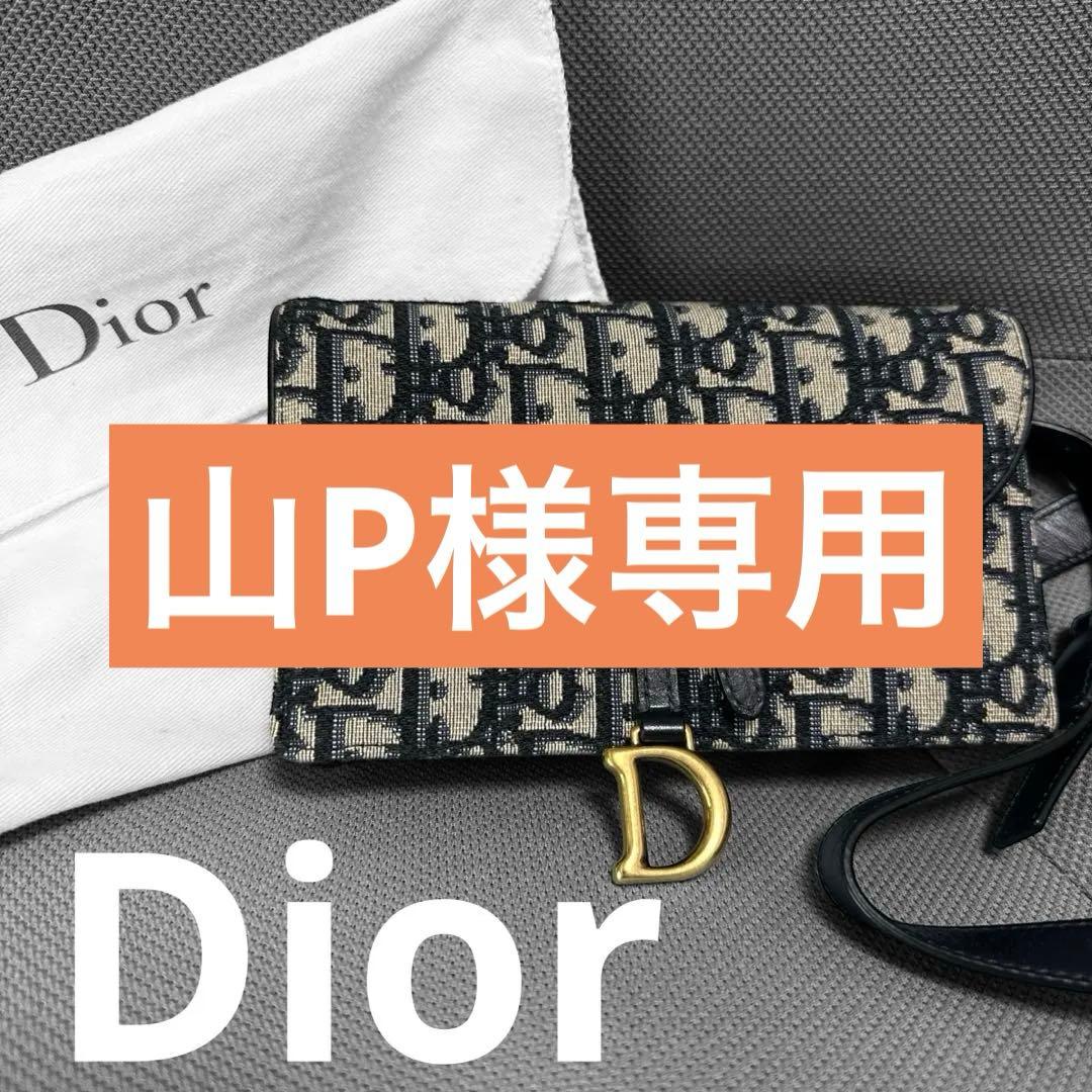 山P／Christian Dior ディオール　サドル ボディバッグ